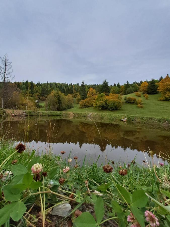 Cabane Areama Neagra Izvoru Mureşului Exteriér fotografie