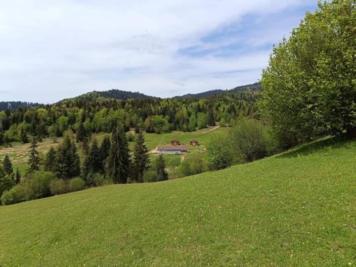 Cabane Areama Neagra Izvoru Mureşului Exteriér fotografie