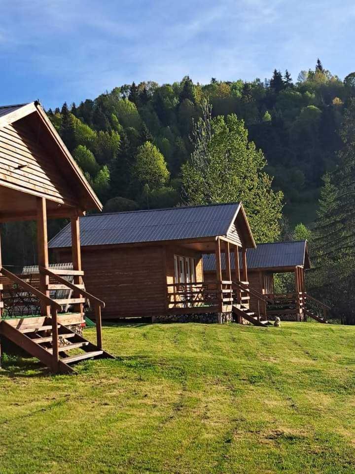 Cabane Areama Neagra Izvoru Mureşului Exteriér fotografie